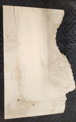 Box Elder Burl Slab
