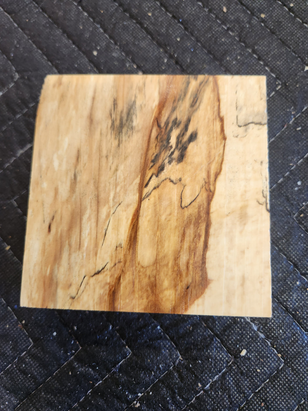 Horse Chestnut Turkey Pot Call