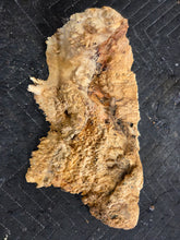 Box Elder Burl Cap