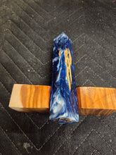 Cholla Cactus Hybrid Pen Blank