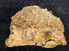 Box Elder Burl cap
