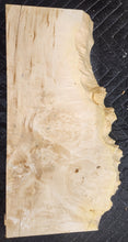 Box Elder Burl Slab