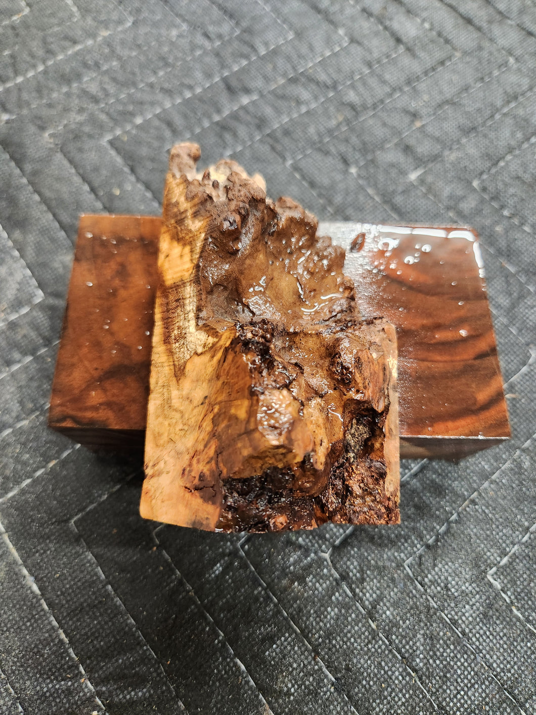 Casting Cherry burl