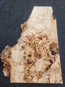 Poplar burl slab