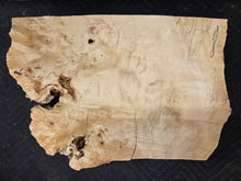 Box Elder Burl Cap