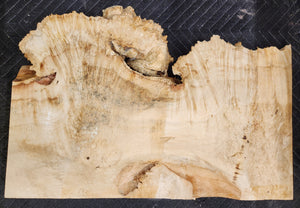 Box Elder Burl Slab