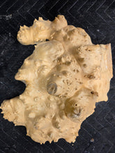Box Elder Burl cap