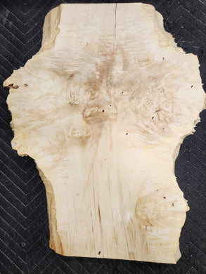 Box Elder Burl Slab