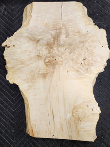 Box Elder Burl Slab