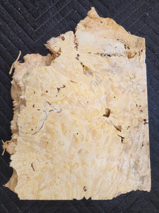 Box elder burl slab