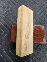 Horse Chestnut Curly Knife Scale