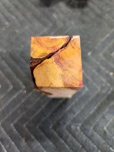 Wild Plum