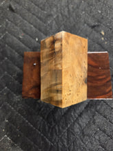Stabilized Horse Chestnut Bottlestopper