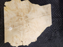 Box Elder Burl Slab