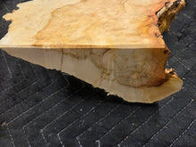 Box Elder Burl cap