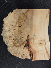 Box Elder Burl cap