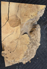 Box Elder Burl Cap