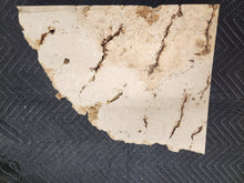 Box Elder Slab