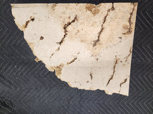 Box Elder Slab