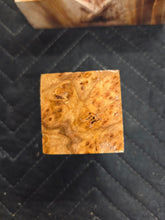 Siberian Elm bottlestopper