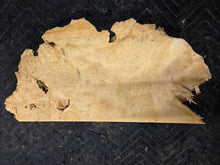 Box Elder Burl Slab