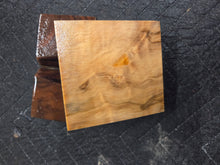 Stabilized Horse Chestnut Turkey Pot