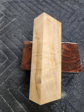 Horse Chestnut Curly Knife Scale