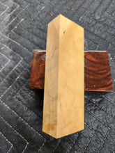 Horse Chestnut Curly Knife Scale