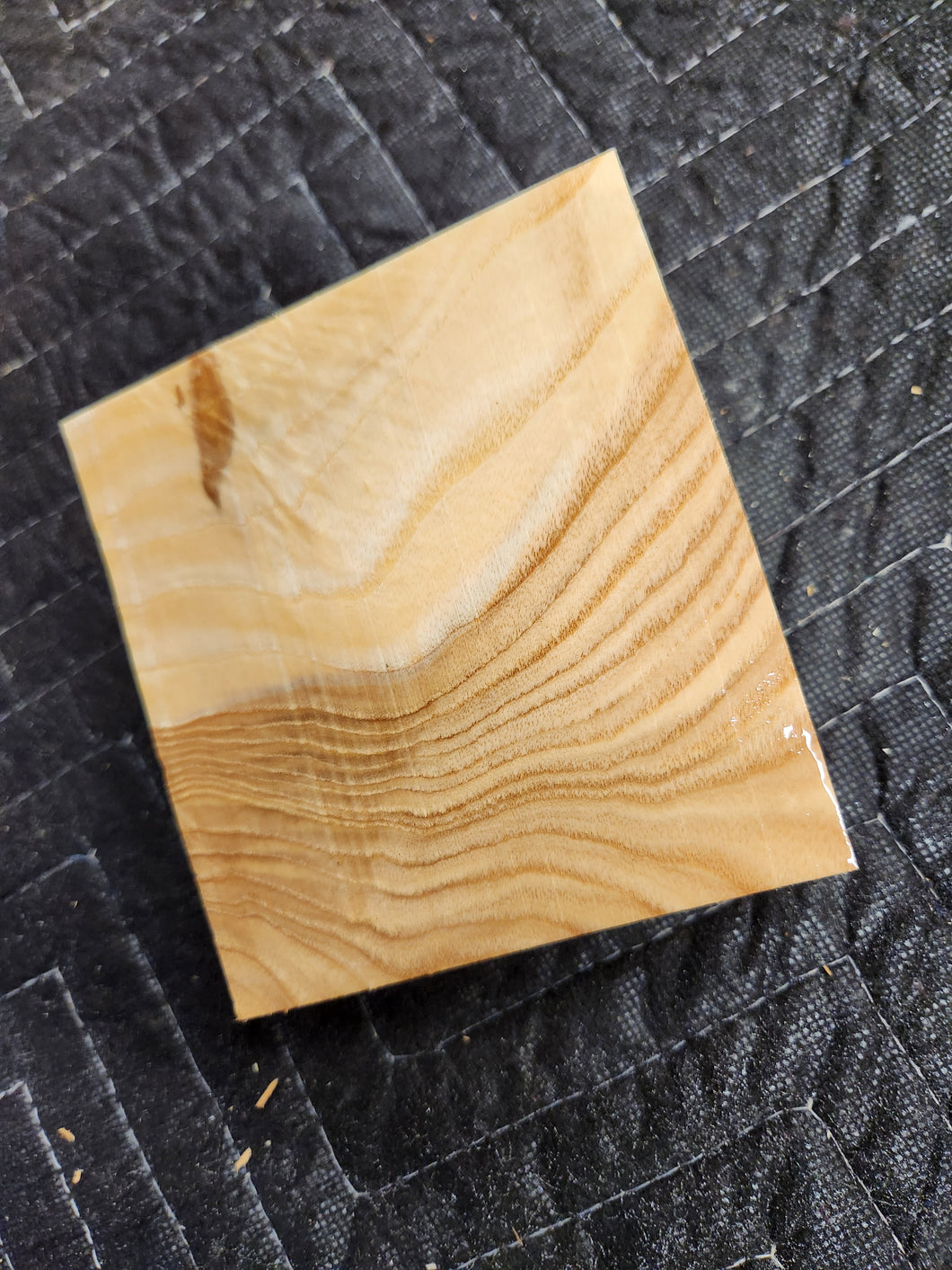 Ash Turkey Pot call