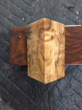 Stabilized Horse Chestnut Bottlestopper