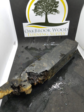 Casting Box Elder Burl - Oakbrook Wood Turning Supply