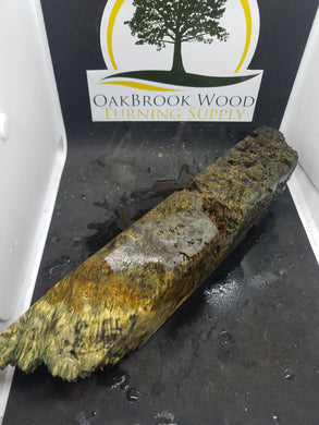 Casting Box Elder Burl - Oakbrook Wood Turning Supply