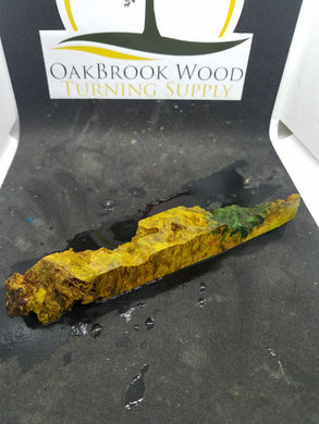 Casting Box Elder Burl - Oakbrook Wood Turning Supply