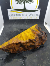 Casting Chittum Burl - Oakbrook Wood Turning Supply