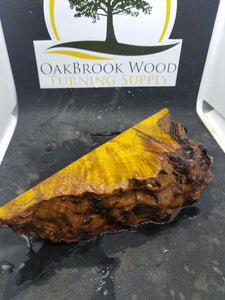 Casting Chittum Burl - Oakbrook Wood Turning Supply