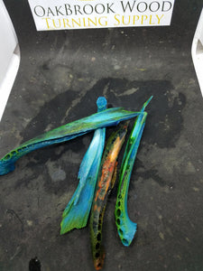 Casting Gator jaw bone milti color - Oakbrook Wood Turning Supply