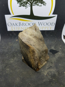 Casting buckeye burl - Oakbrook Wood Turning Supply