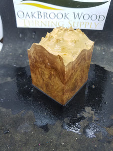 Casting corrugata burl - Oakbrook Wood Turning Supply