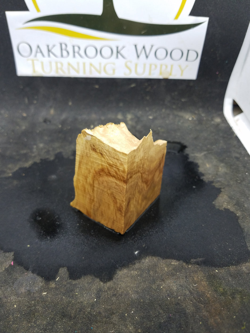Casting corrugata burl - Oakbrook Wood Turning Supply