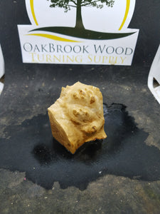 Casting corrugata burl - Oakbrook Wood Turning Supply