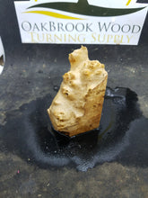 Casting corrugata burl - Oakbrook Wood Turning Supply