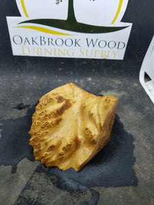 Casting york gum burl - Oakbrook Wood Turning Supply