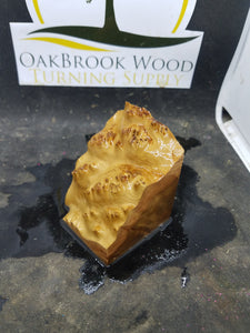 Casting york gum burl - Oakbrook Wood Turning Supply