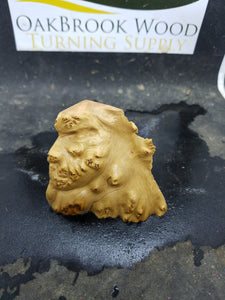 Casting york gum burl - Oakbrook Wood Turning Supply