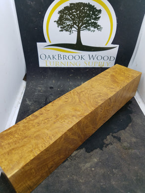 Brown mallee burl - Oakbrook Wood Turning Supply