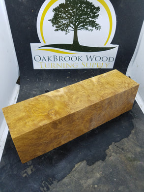 Brown mallee burl - Oakbrook Wood Turning Supply