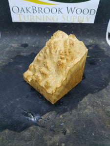 Casting brown mallee burl - Oakbrook Wood Turning Supply