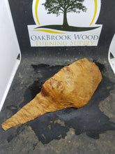 Casting coolibah burl - Oakbrook Wood Turning Supply