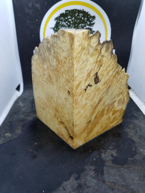 Casting  box elder burl - Oakbrook Wood Turning Supply