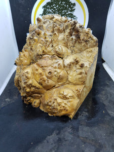 Casting  box elder burl - Oakbrook Wood Turning Supply